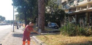 Roma, ripulite le aiuole nel degrado intorno alla Nuvola: l’intervento dopo la denuncia dell’Adnkronos
