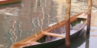 Imbarcadero sul Bacchiglione a Vicenza, Fulvio Carollo e Canottieri Vicenza chiedono di riaprire il fiume alla città