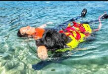 Sics a lavoro, i guardiani a quattro zampe del mare