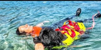 Sics a lavoro, i guardiani a quattro zampe del mare