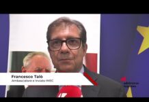 Sicurezza: Talò (Imec), ‘Serve una cultura della sicurezza che vada oltre la difesa’