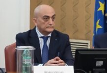 Sostenibilità, Specchio (CNGeGL): “Dai giovani idee risolutive per il territorio”