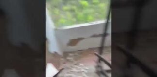 Terremoto in Venezuela, due scosse di magnitudo 7.2 e 7.5 devastano Caracas