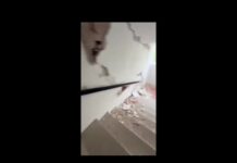 Terremoto in Venezuela, la fuga dal palazzo distrutto – Video