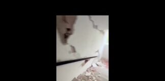 Terremoto in Venezuela, la fuga dal palazzo distrutto – Video