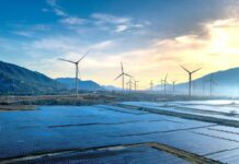 Transizione energetica: da sfida ambientale a leva di crescita