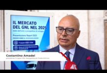 Trasporti: Amadei (Assogasliquidi-Federchimica), ‘Servono incentivi e regole chiare per accelerare