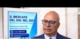Trasporti: Amadei (Assogasliquidi-Federchimica), ‘Servono incentivi e regole chiare per accelerare