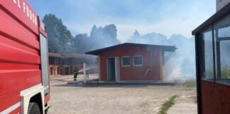 Treviso, incendio all’ippodromo Sant’Artemio: sei cavalli muoiono tra le fiamme