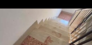 Triplice omicidio a Roma, la fuga del figlio ferito: le impronte nel palazzo e le tracce – Video