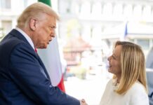 Trump ancora contro Meloni, premier in Cdm: “Tensioni non danneggino rapporti con Washington”