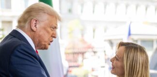 Trump ancora contro Meloni, premier in Cdm: “Tensioni non danneggino rapporti con Washington”
