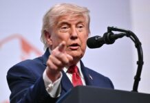 Trump, nuovo attacco a Meloni: “Italia non ci ha aiutato, noi l’abbiamo sempre difesa”