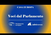 Ue: Ceccardi (Lega), ‘Maggioranza destra su rimpatri, riusciremo su altri temi’
