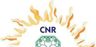 Un nuovo protocollo CNR e UniMi identifica microplastiche nel compost