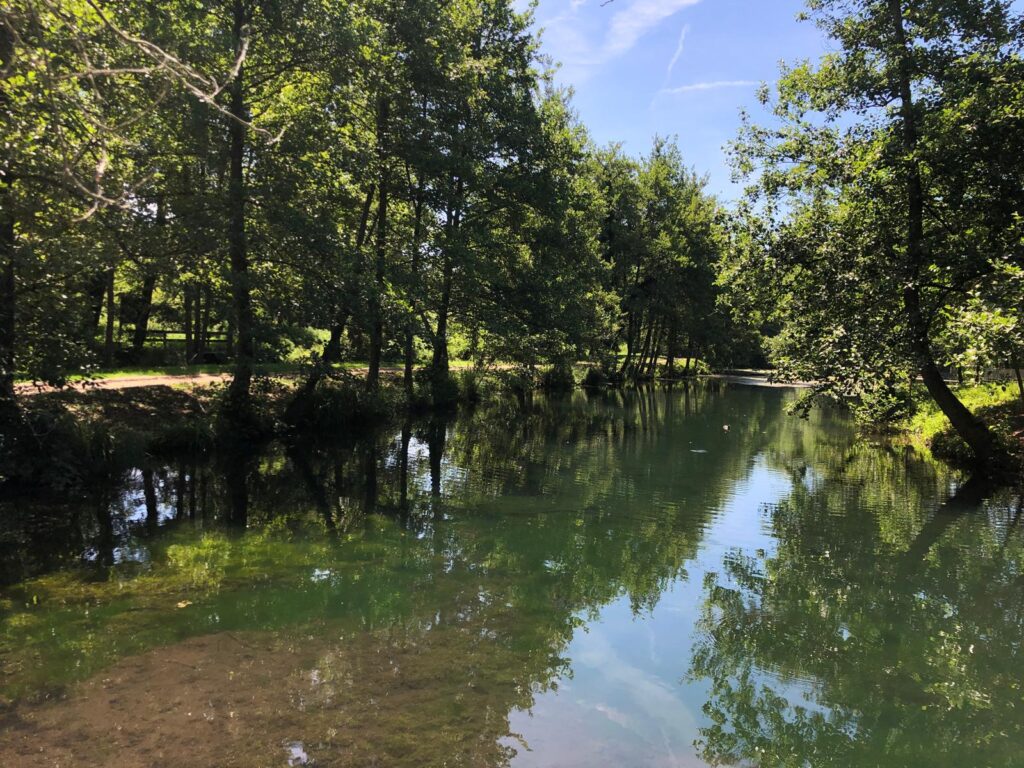 Le risorgive del Bacchiglione situate tra Dueville e Novoledo di Villaverla sono una delle aree verdi più importanti del Veneto, caratterizzate dalla presenza di acqua in quantità e qualità.