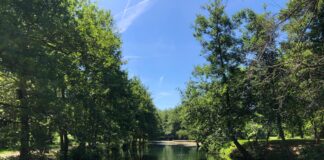 Risorgive del Bacchiglione, il gioiello verde di Dueville, Villaverla e Caldogno: riepiloghiamo gli ultimi 50 anni di storia risorgive bacchiglione