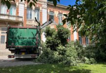 Cade enorme ramo nel cortile di una scuola a Vicenza: edificio interdetto e verifiche in corso caduta ramo albero bagolareo scuola zanella vicenza