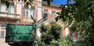 Cade enorme ramo nel cortile di una scuola a Vicenza: edificio interdetto e verifiche in corso caduta ramo albero bagolareo scuola zanella vicenza