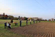 Casa Carpaneda celebra il solstizio con la Festa del Sole e del Grano Festa del Sole e del Grano