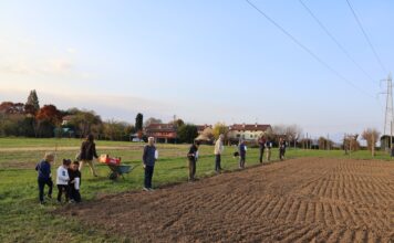 Casa Carpaneda celebra il solstizio con la Festa del Sole e del Grano Festa del Sole e del Grano