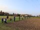 Casa Carpaneda celebra il solstizio con la Festa del Sole e del Grano Festa del Sole e del Grano