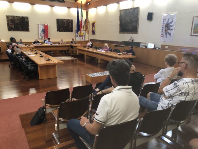 consiglio comunale montecchio precalcino ricorso tar silva