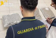 Due persone arrestate a Recoaro Terme dalla Guardia di Finanza: sequestrati 11 chili di marijuana marijuana recoaro terme