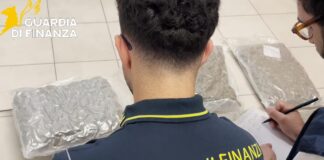 Due persone arrestate a Recoaro Terme dalla Guardia di Finanza: sequestrati 11 chili di marijuana marijuana recoaro terme