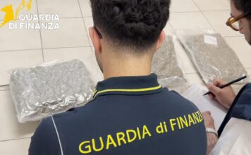 Due persone arrestate a Recoaro Terme dalla Guardia di Finanza: sequestrati 11 chili di marijuana marijuana recoaro terme