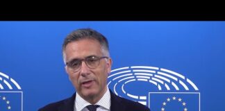 Automotive: Salini (Fi), “Sì a decarbonizzazione ma tutelando tasche dei cittadini”