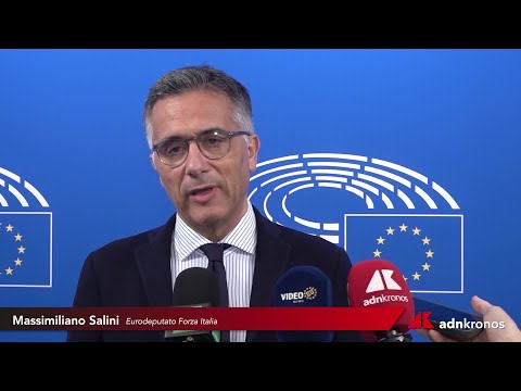Automotive: Salini (Fi), “Sì a decarbonizzazione ma tutelando tasche dei cittadini”
