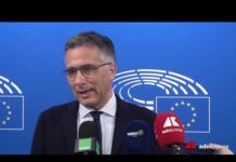 Automotive: Salini (Fi), “Sì a decarbonizzazione ma tutelando tasche dei cittadini”