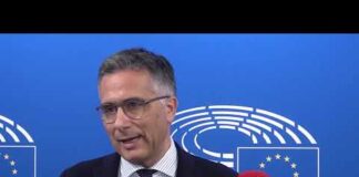 Automotive: Salini (Fi), “Sì a decarbonizzazione ma tutelando tasche dei cittadini”