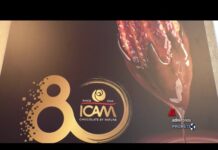 Aziende: Icam compie 80 anni e presenta il Bilancio di Sostenibilità 2025