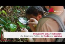Bonus centri estivi