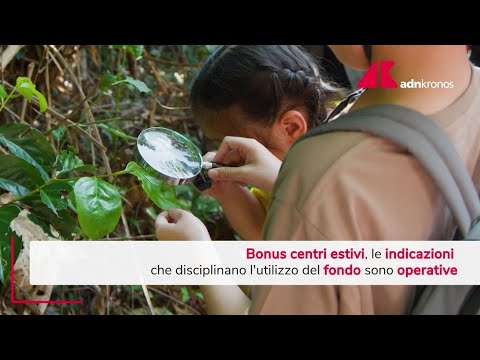 Bonus centri estivi