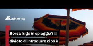 Borsa frigo in spiaggia? Il divieto di introdurre cibo è illegittimo