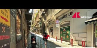 Caldo, bollettini giornalieri del ministero della Salute su 27 città