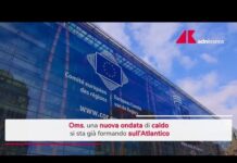 Caldo record sull’Europa, l’allarme dell’Oms