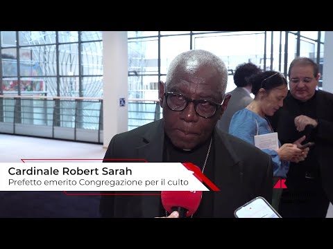 Card. Sarah: “Rispettare l’autodeterminazione dei popoli e la loro convinzione religiosa”