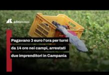 Caserta, schiavitù nei campi: 3 euro l’ora per turni da 14 ore