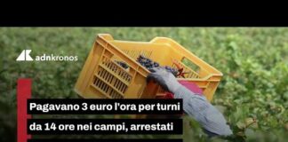 Caserta, schiavitù nei campi: 3 euro l’ora per turni da 14 ore