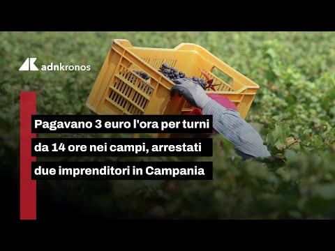 Caserta, schiavitù nei campi: 3 euro l’ora per turni da 14 ore