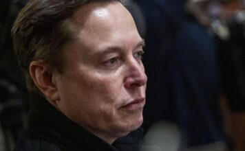 Caso Roggero, Musk: “E’ una follia, giudice e pm meritano condanna”