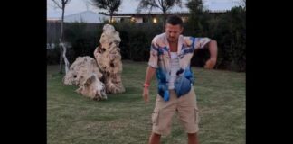 Cattelan non sarà a ‘Ballando con le Stelle’, la smentita arriva via social