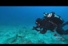 Clima, mare caldo fino a 40 metri di profondità