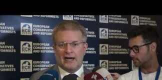 Coesione: Fidanza, “Fdi difende un bilancio solido per tutte le regioni”
