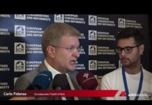 Coesione: Fidanza, “Fdi difende un bilancio solido per tutte le regioni”