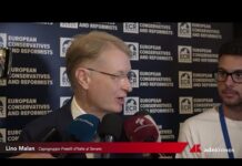 Coesione: Malan, “Il PNRR è stato usato efficacemente, fondi riallocati con successo”